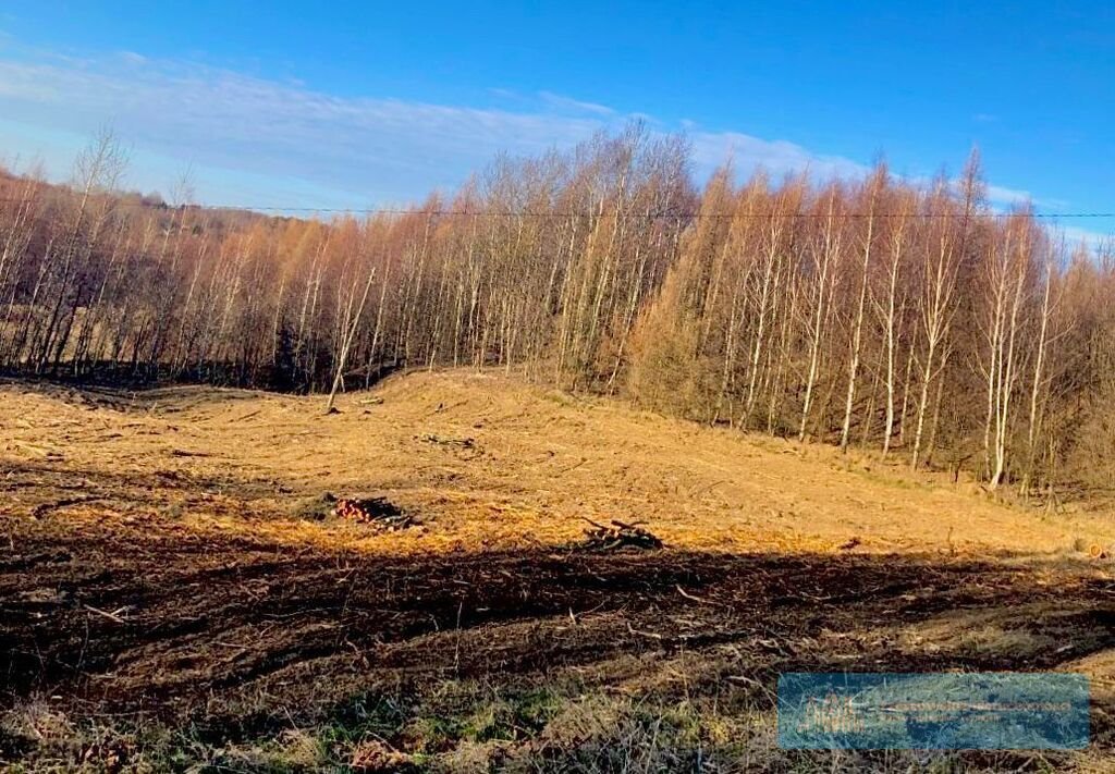 Działka budowlana na sprzedaż Chmielnik  5 300m2 Foto 5