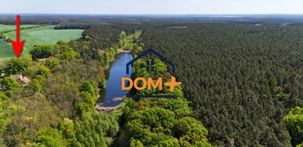 Sprzedam działki 1000 m² w sercu natury, blisko jeziora Mesze  1 000m2 Foto 1
