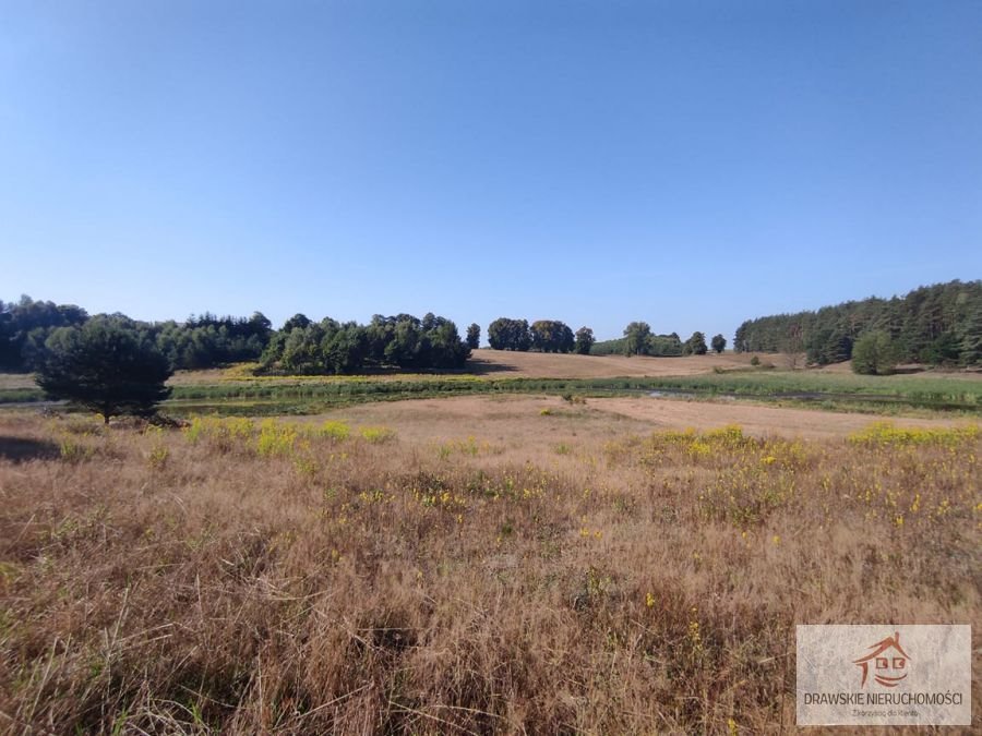 Działka 13 000 m² z dostępem do jeziora i lasu Siemczyno, Siemczyno  13 000m2 Foto 1