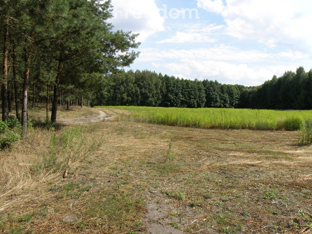 Działka budowlana na sprzedaż Czarne Błoto  1 769m2 Foto 6