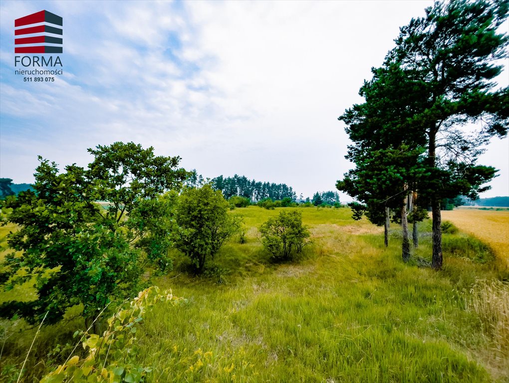 Działka leśna na sprzedaż Pięczkowo, Pięczkowo, sportowa 212/1  35 280m2 Foto 8