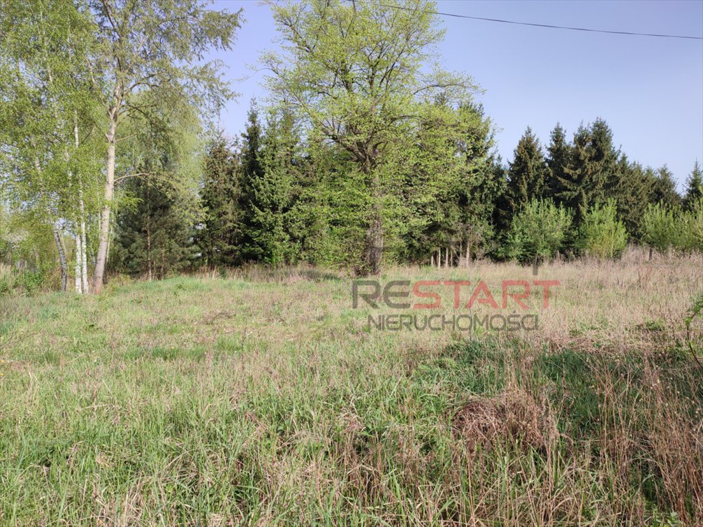 Duża działka budowlana 9500 m² w Opypach – potencjał inwestycyjny Opypy  9 514m2 Foto 1