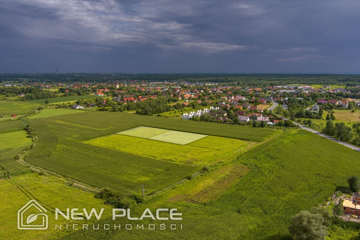 Działka inwestycyjna na sprzedaż Wilkszyn  3 000m2 Foto 5