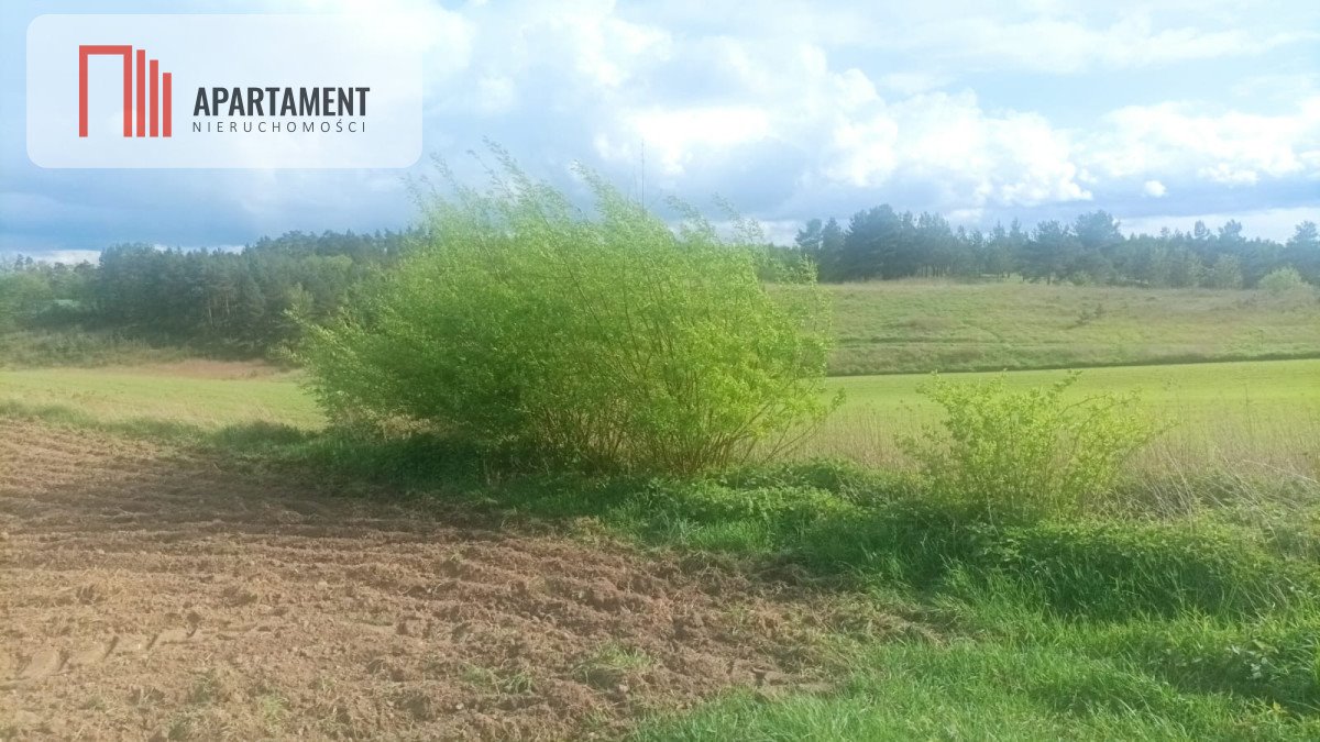 Działka 3700 m² z widokiem na las i jeziora – idealne miejsce na wypoczynek Teolog  3 700m2 Foto 1