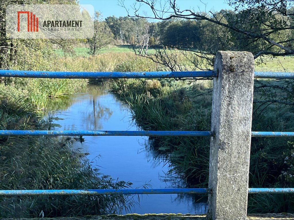 Działka gospodarstwo rolne na sprzedaż Dalewo  29 700m2 Foto 7