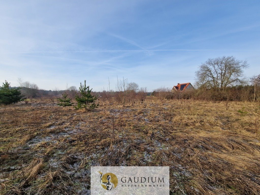 Działka budowlana na sprzedaż Pomlewo, Szkolna  1 269m2 Foto 9