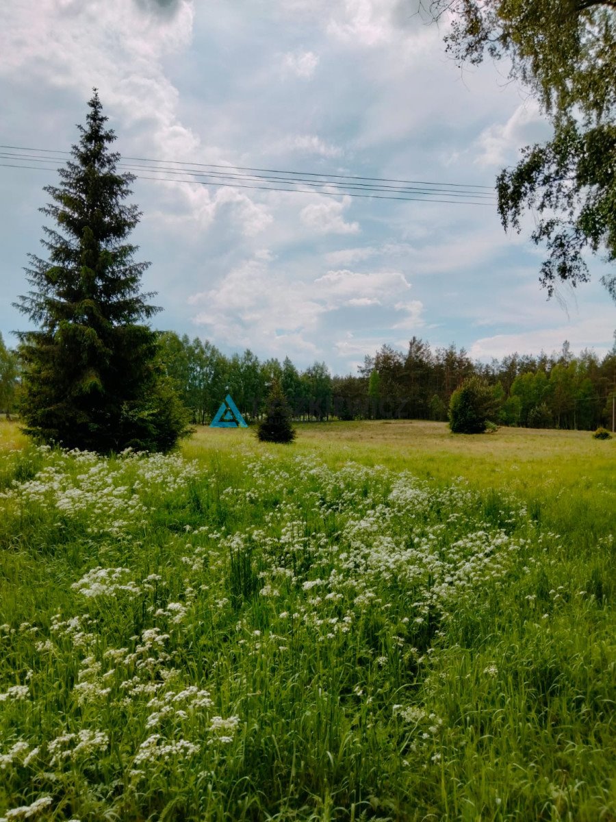 Działka przemysłowo-handlowa na sprzedaż Stara Kiszewa, Leśna  13 199m2 Foto 2