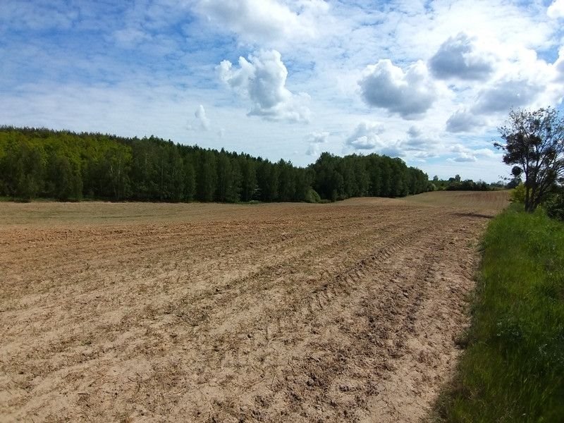 Działka rolna na sprzedaż Nowosady  19 000m2 Foto 2