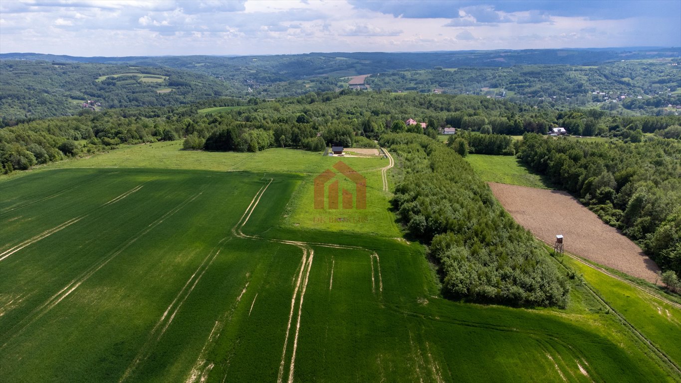 Działka rolna na sprzedaż Hadle Kańczuckie  1 750m2 Foto 3