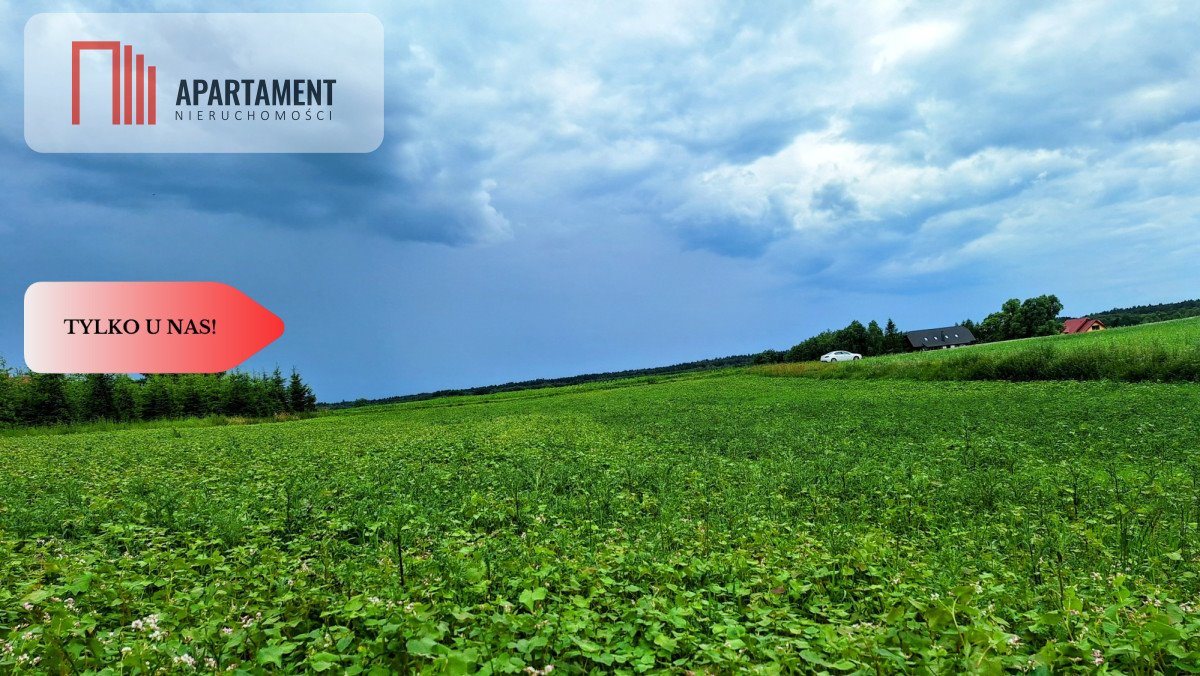 Działka budowlana na sprzedaż Garczyn  4 130m2 Foto 1