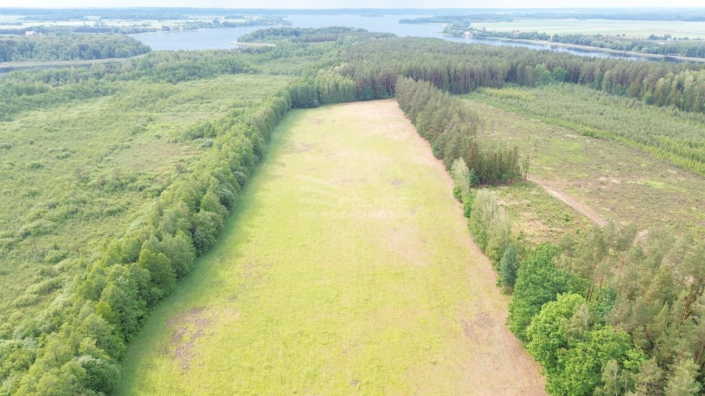 Działka leśna na sprzedaż Makosieje  60 900m2 Foto 8