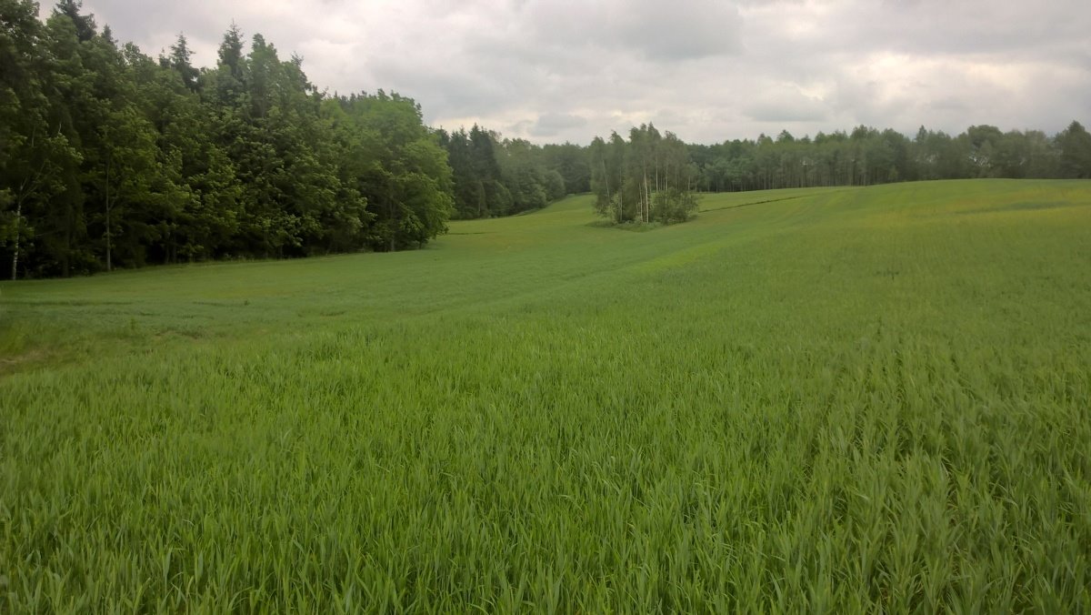 Działka rekreacyjna na sprzedaż Stare Juchy, Stare Juchy  3 000m2 Foto 10