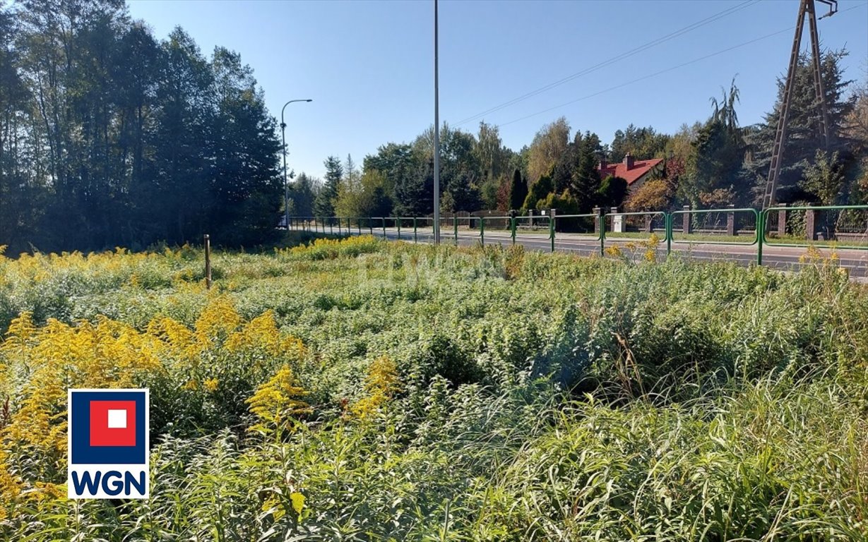 Działka inwestycyjna na sprzedaż Żarki, Myszkowska  26 420m2 Foto 1