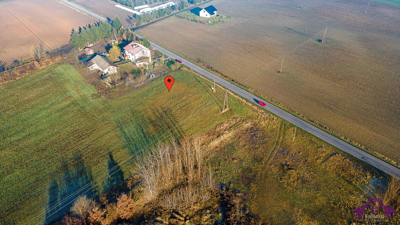 Działka inna na sprzedaż Sarbka  3 100m2 Foto 3