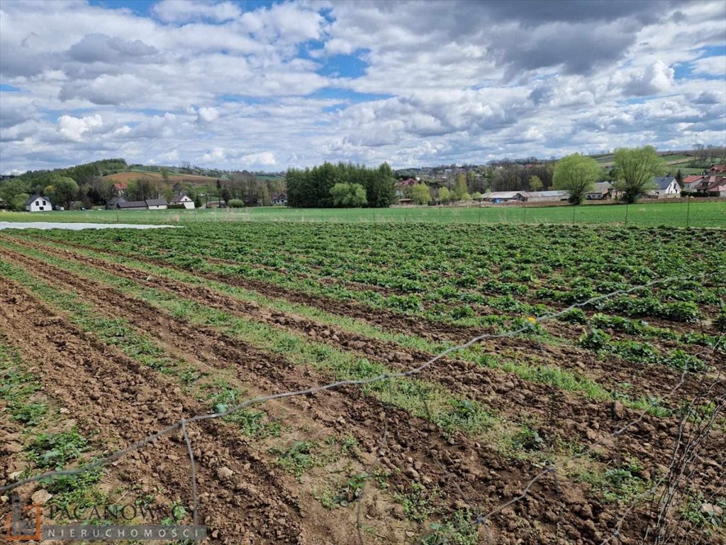 Do sprzedania działka rolna 60 arów w spokojnej okolicy Masłomiąca  6 000m2 Foto 1