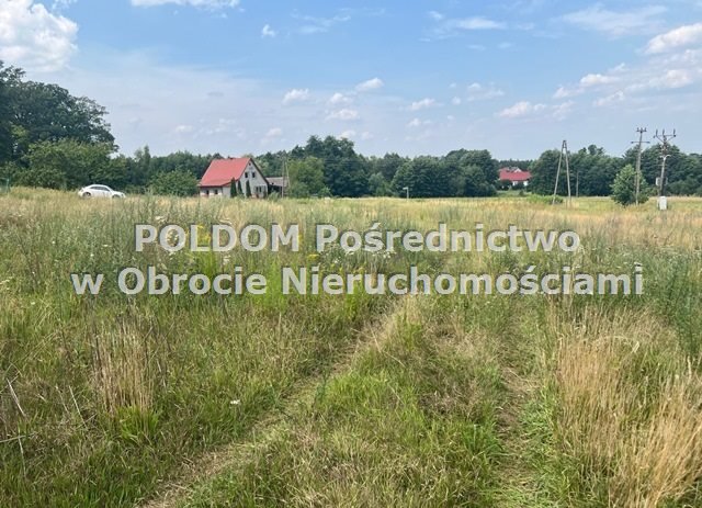 Działka budowlana na sprzedaż Wilkowa  1 070m2 Foto 4