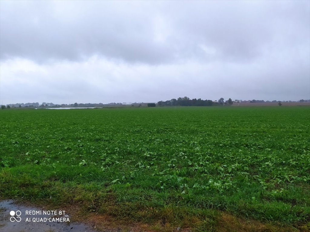 Działka budowlana na sprzedaż Śródka, Śródka gm. Kleszczewo  8 185m2 Foto 3