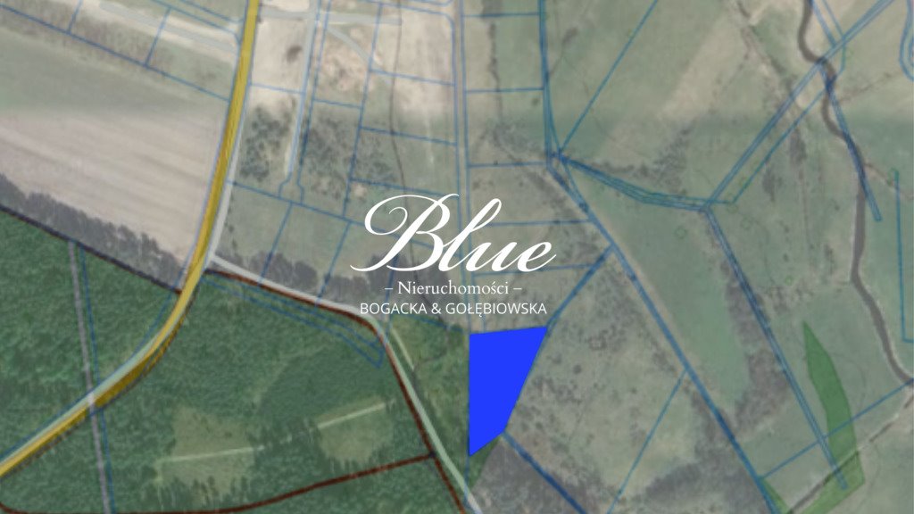 Działka 3 077 m² z warunkami zabudowy, las, cisza Niewiadowo  3 077m2 Foto 1