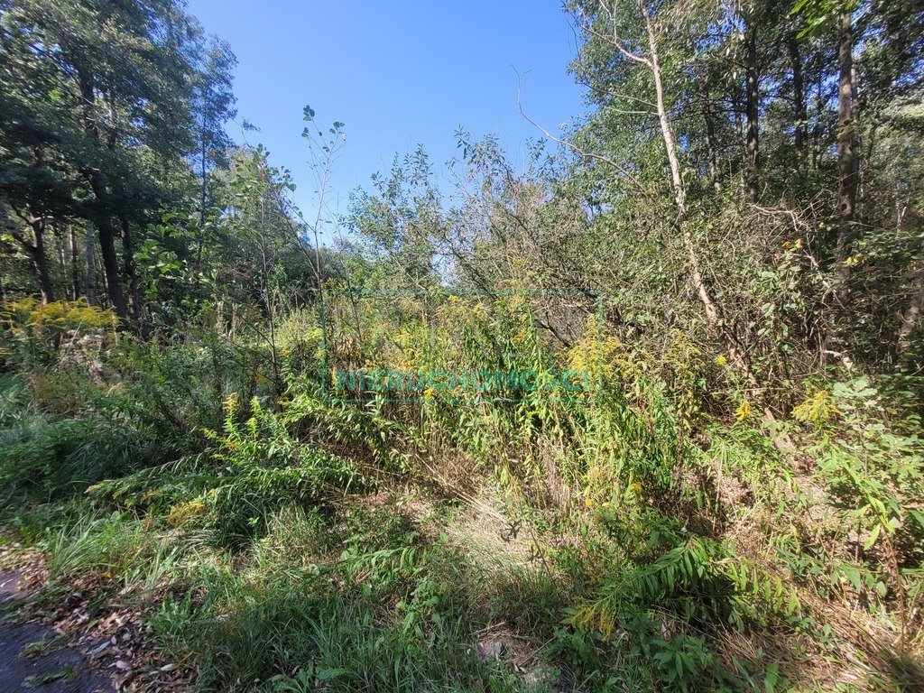 Działka budowlana na sprzedaż Radonie  1 500m2 Foto 11