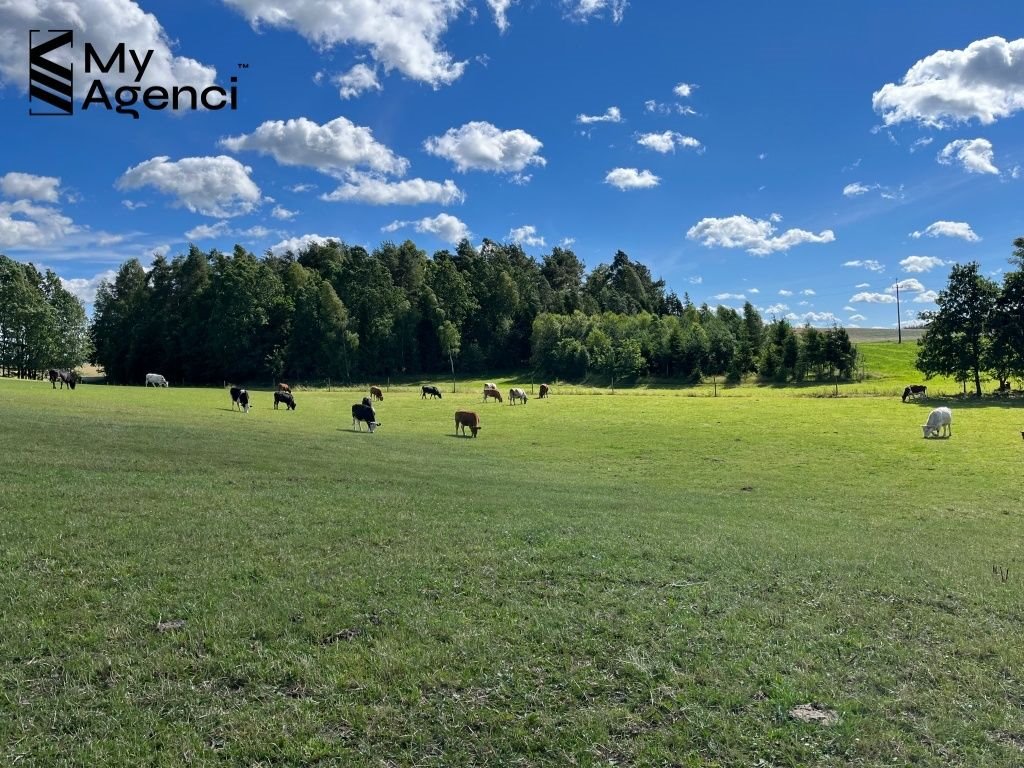 Działka budowlana na sprzedaż Łebno, Kartuska  1 003m2 Foto 8