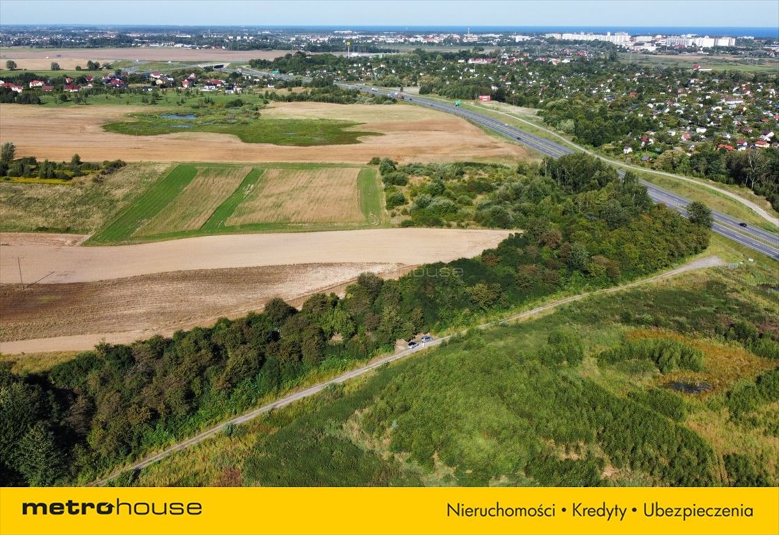 Działka rolna na sprzedaż Niekanin  19 000m2 Foto 3