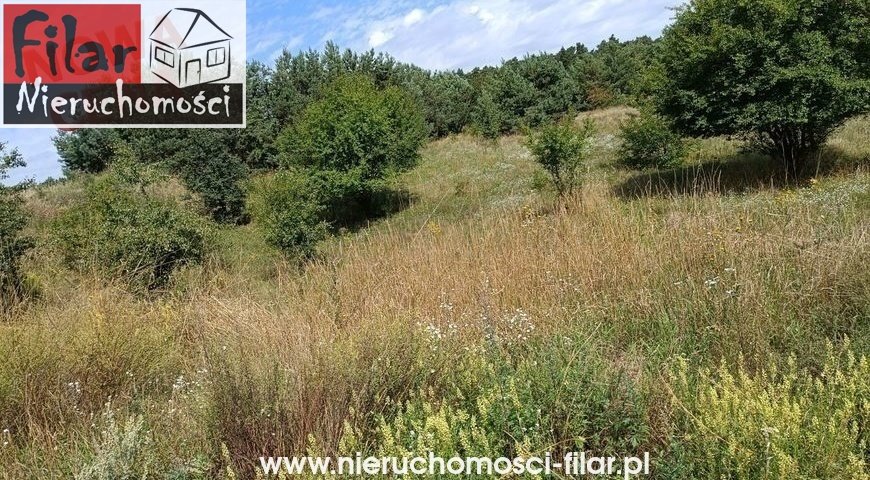 Działka budowlana 1034 m² z mediami i możliwością wielopokoleniowej zabudowy Kruszyn  1 034m2 Foto 1