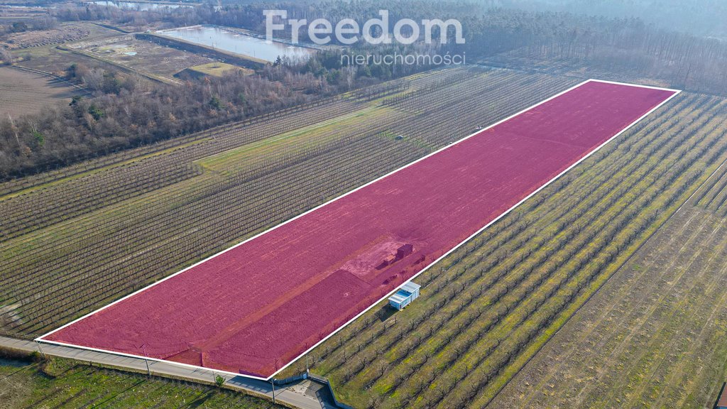 Działka rolna na sprzedaż Marianka  22 550m2 Foto 1