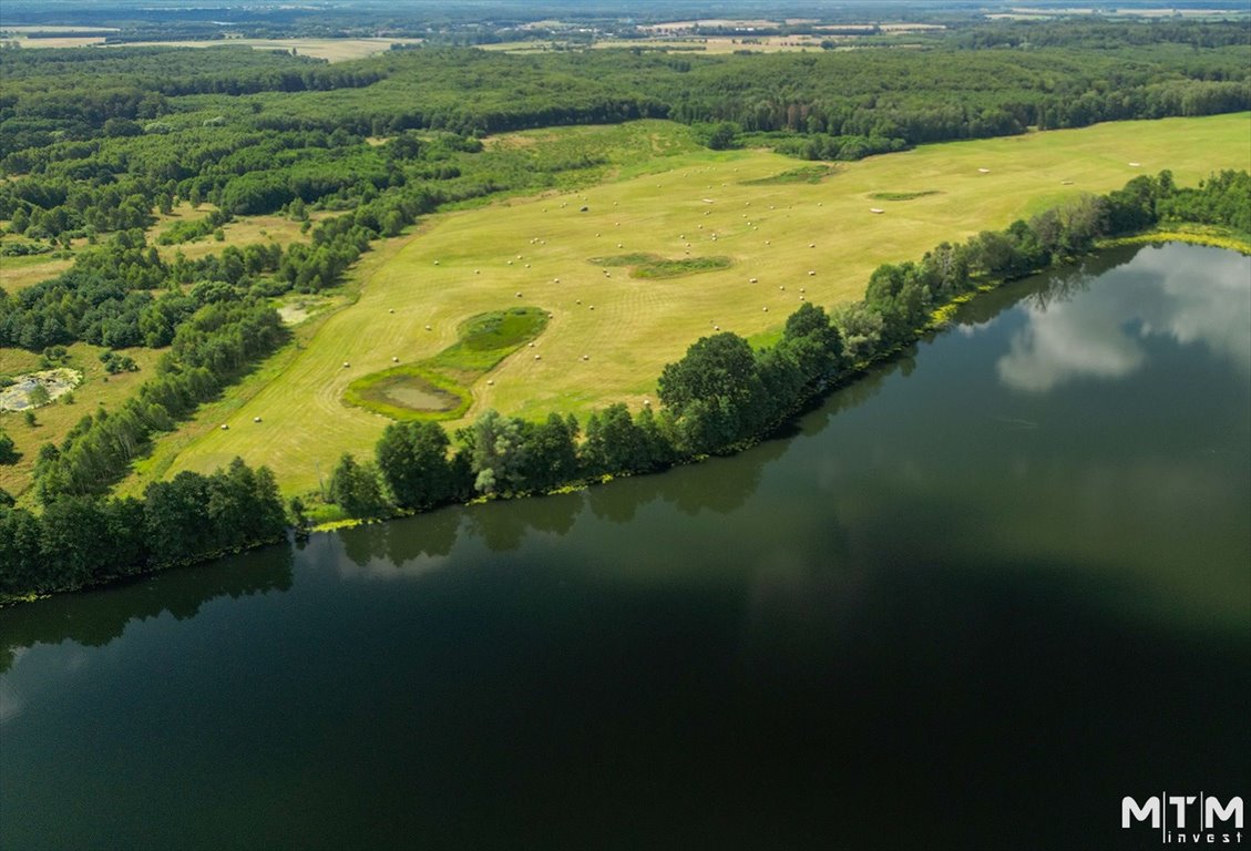 Działka rolna na sprzedaż Dolice  3 003m2 Foto 3