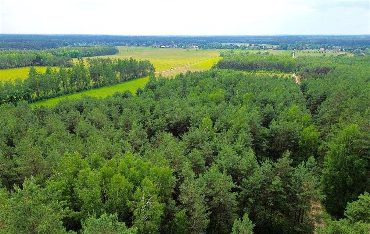 Działka rolna na sprzedaż Faryny  11 000m2 Foto 7