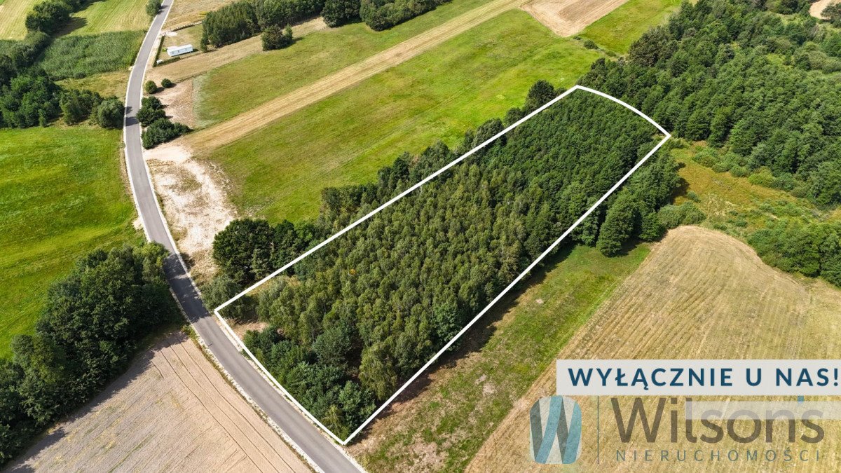 Działka 7 100 m² z WZ i potencjałem inwestycyjnym. Sokołowo Włościańskie  7 100m2 Foto 1