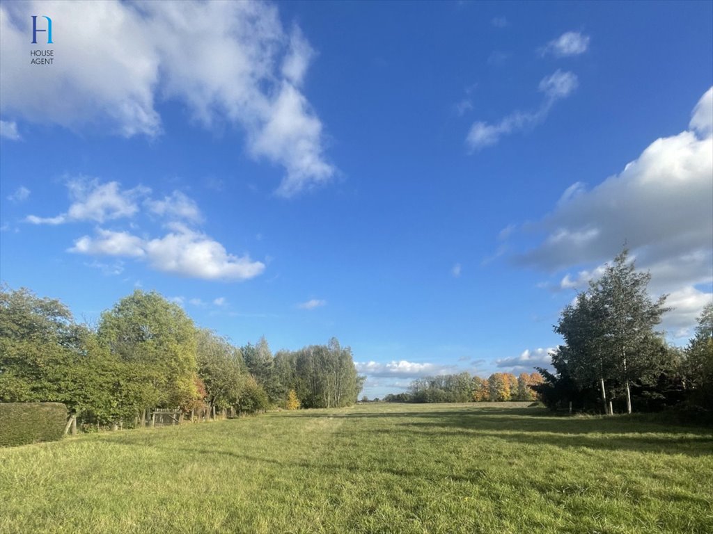 Działka rolna na sprzedaż Będzelin, Leśna  3 587m2 Foto 1