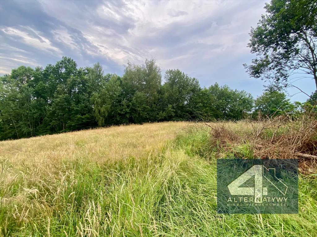 Działka 16 arów z widokiem, media, las, blisko Krakowa Grajów  1 600m2 Foto 1