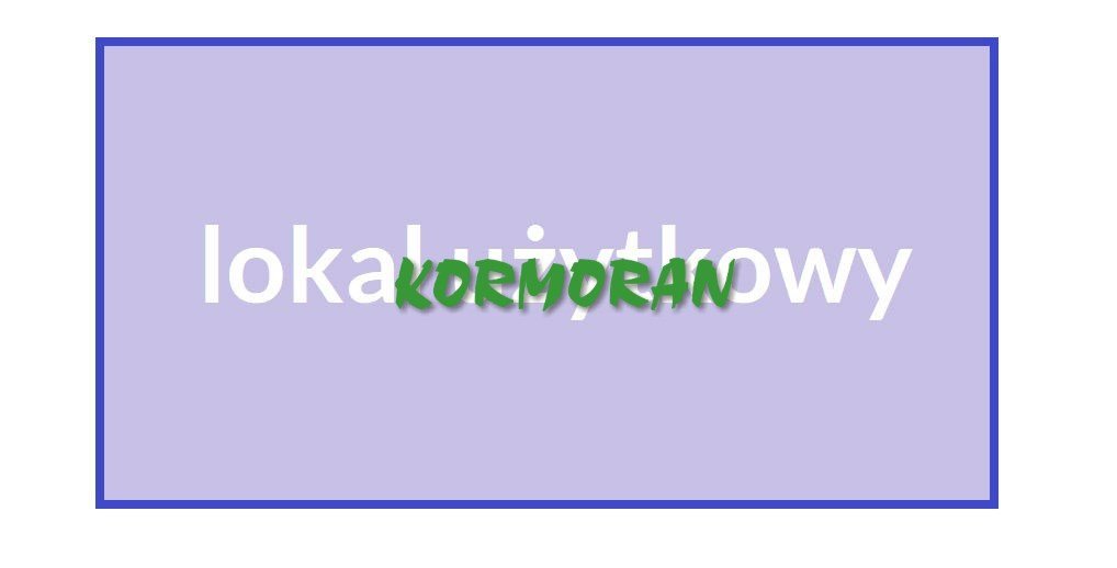 Lokal użytkowy 170 m2 z dużą witryną i możliwością adaptacji Opole  170m2 Foto 1