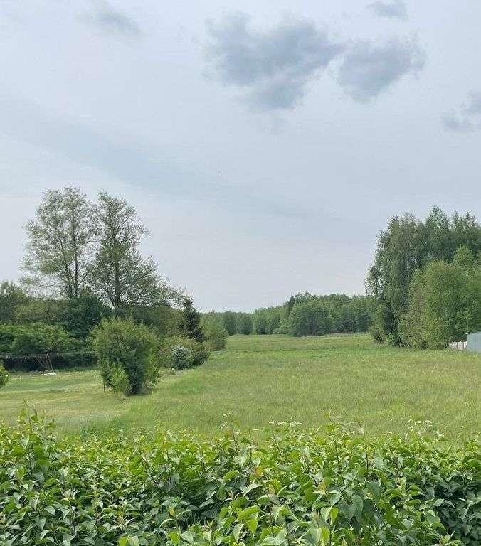 Działka budowlana na sprzedaż Wiśniew  3 100m2 Foto 4