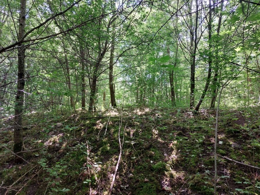 Działka inwestycyjna 7 902 m² w Łodzi – dostęp do mediów Łódź, Elektronowa  7 902m2 Foto 1