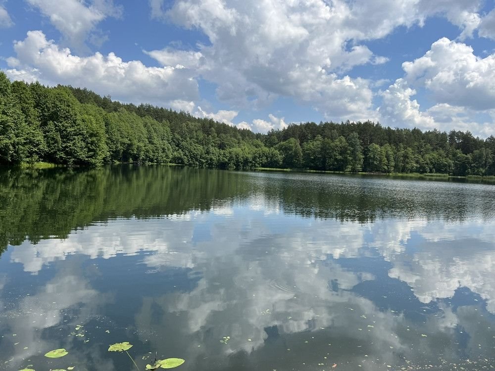 Działka budowlana na sprzedaż Świerkocin  10 451m2 Foto 4