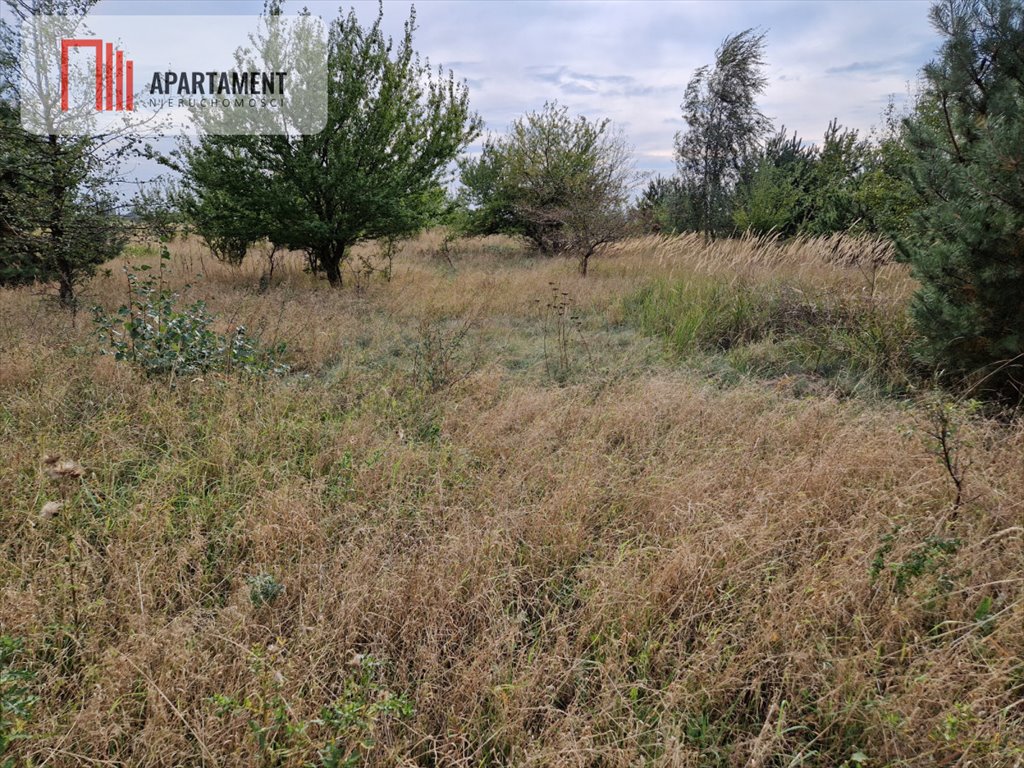 Działka budowlana na sprzedaż Rogowo  2 500m2 Foto 8