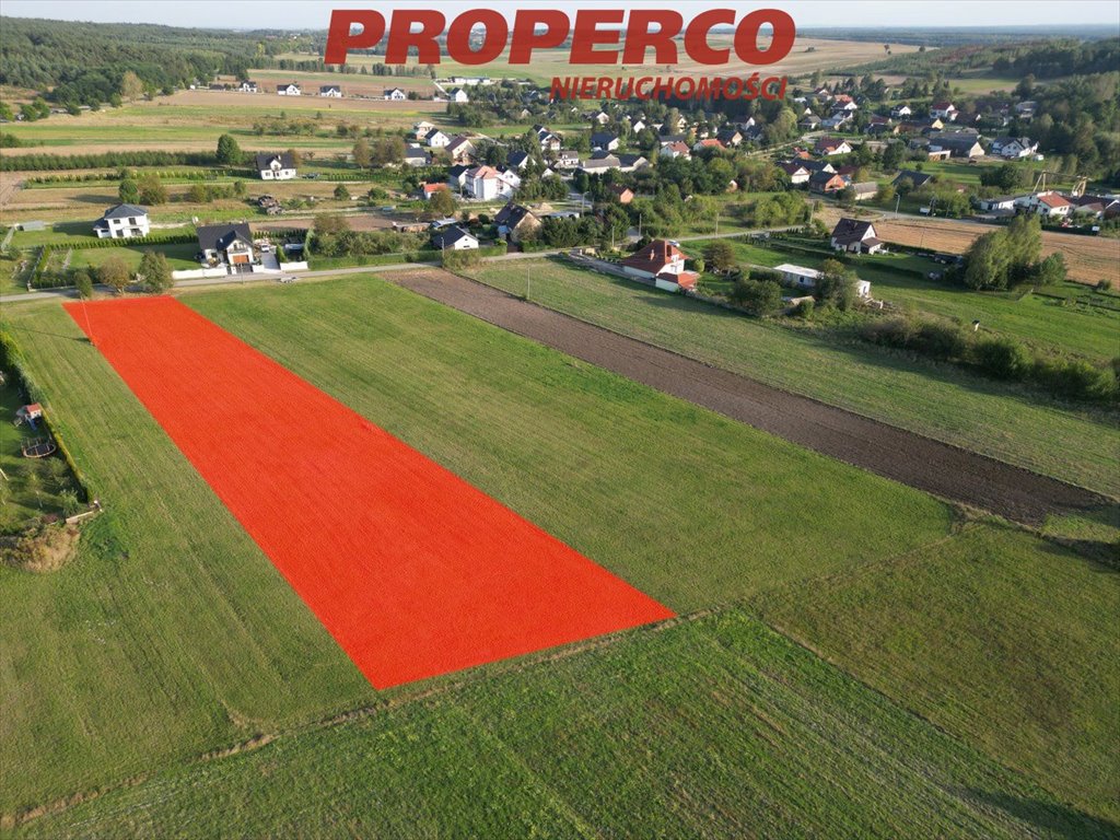 Działka inna na sprzedaż Chmielnik, Piotrkowice  4 000m2 Foto 4