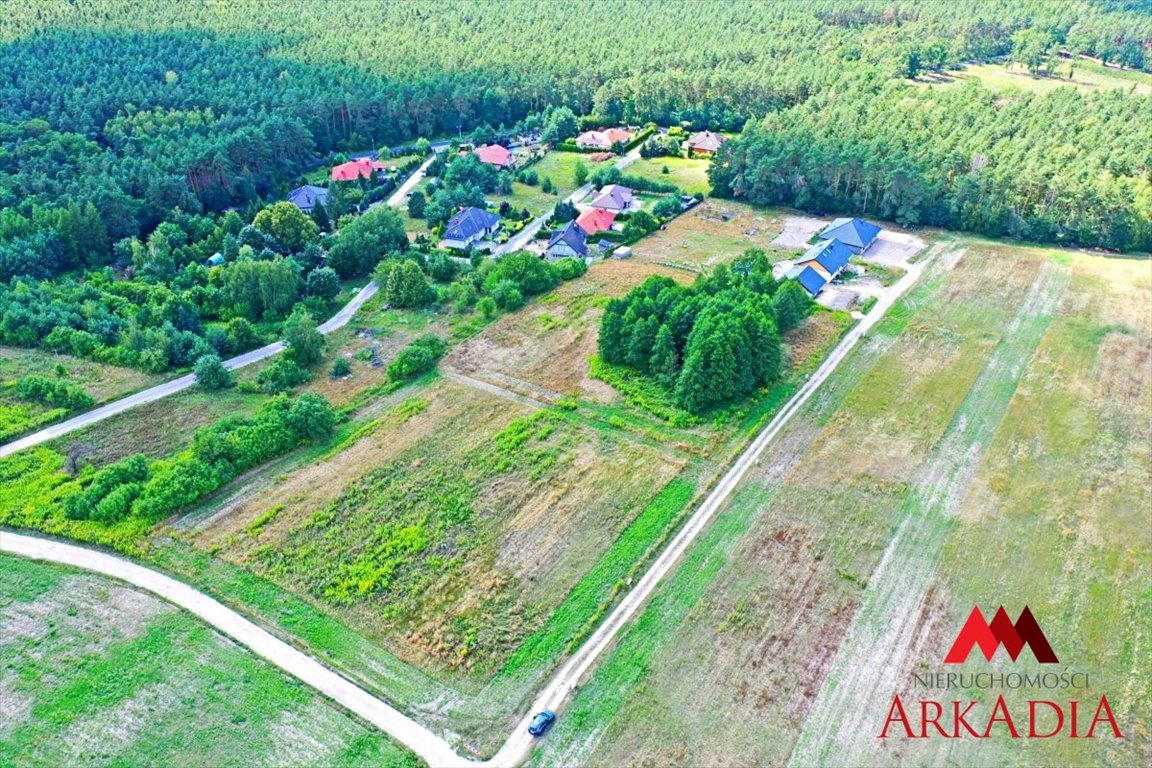 Działka rolna na sprzedaż Nowy Witoszyn  3 100m2 Foto 3