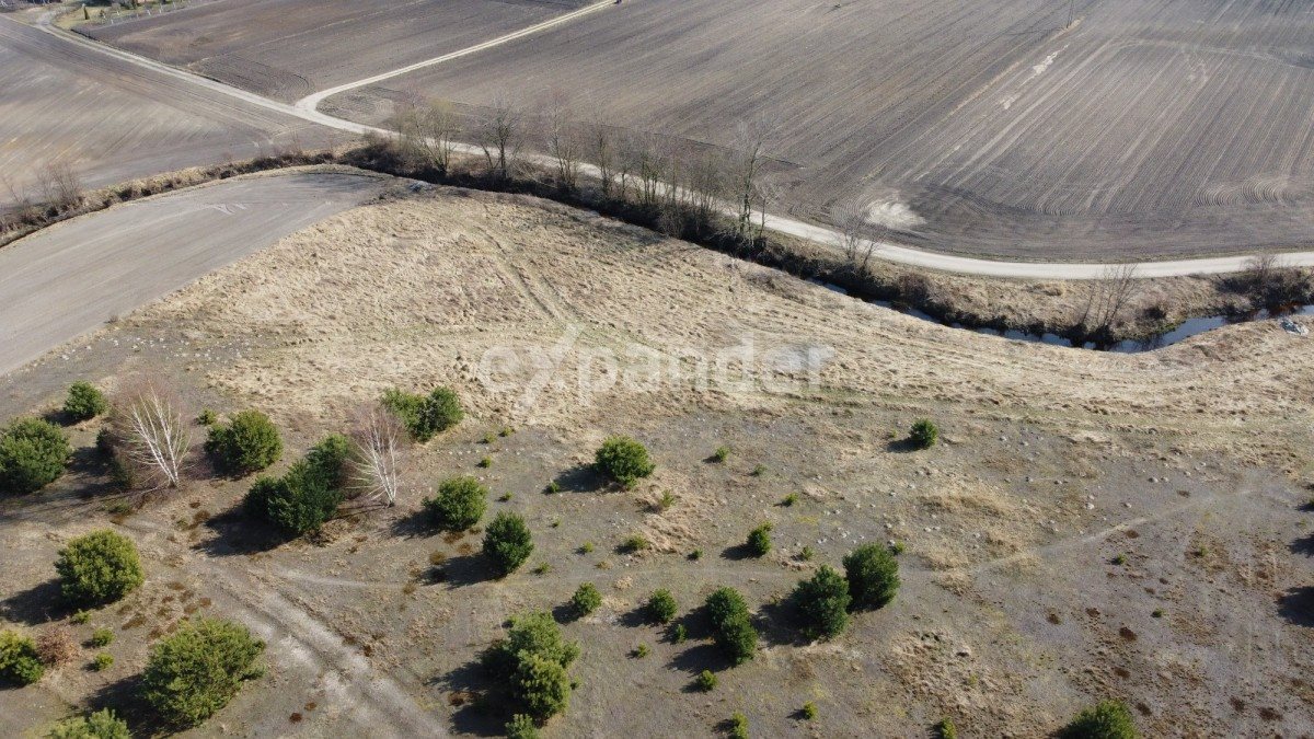 Działka budowlana na sprzedaż Zbytkowo  3 000m2 Foto 5