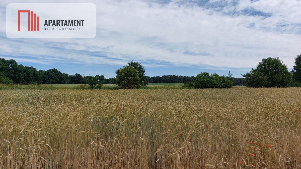 Działka budowlana na sprzedaż Śmiłowo  1 000m2 Foto 5