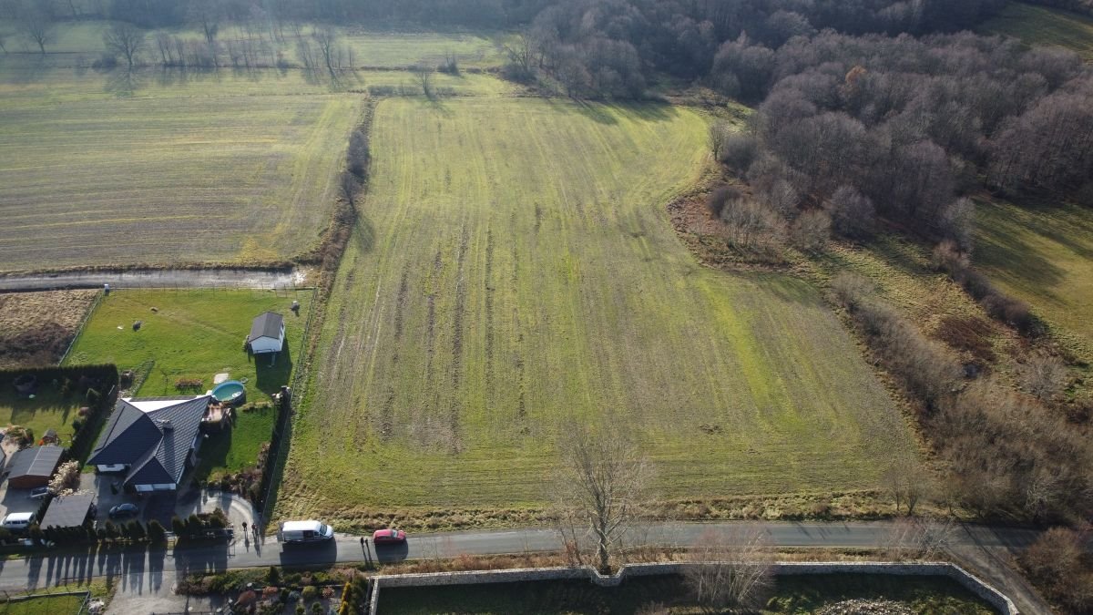 Działka budowlana na sprzedaż Dziwiszów  1 500m2 Foto 3