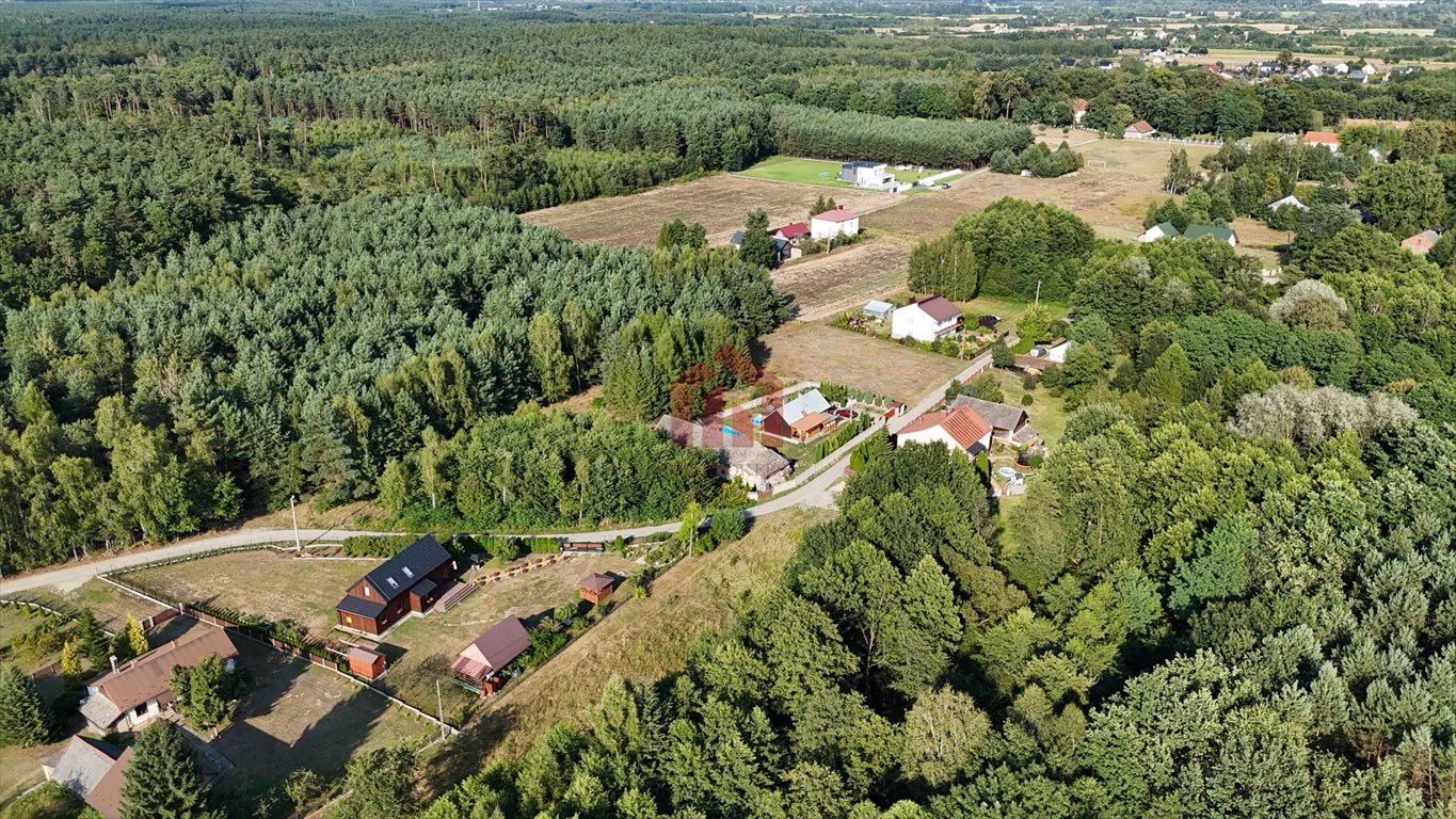 Działka budowlana na sprzedaż Lipiny  1 324m2 Foto 3