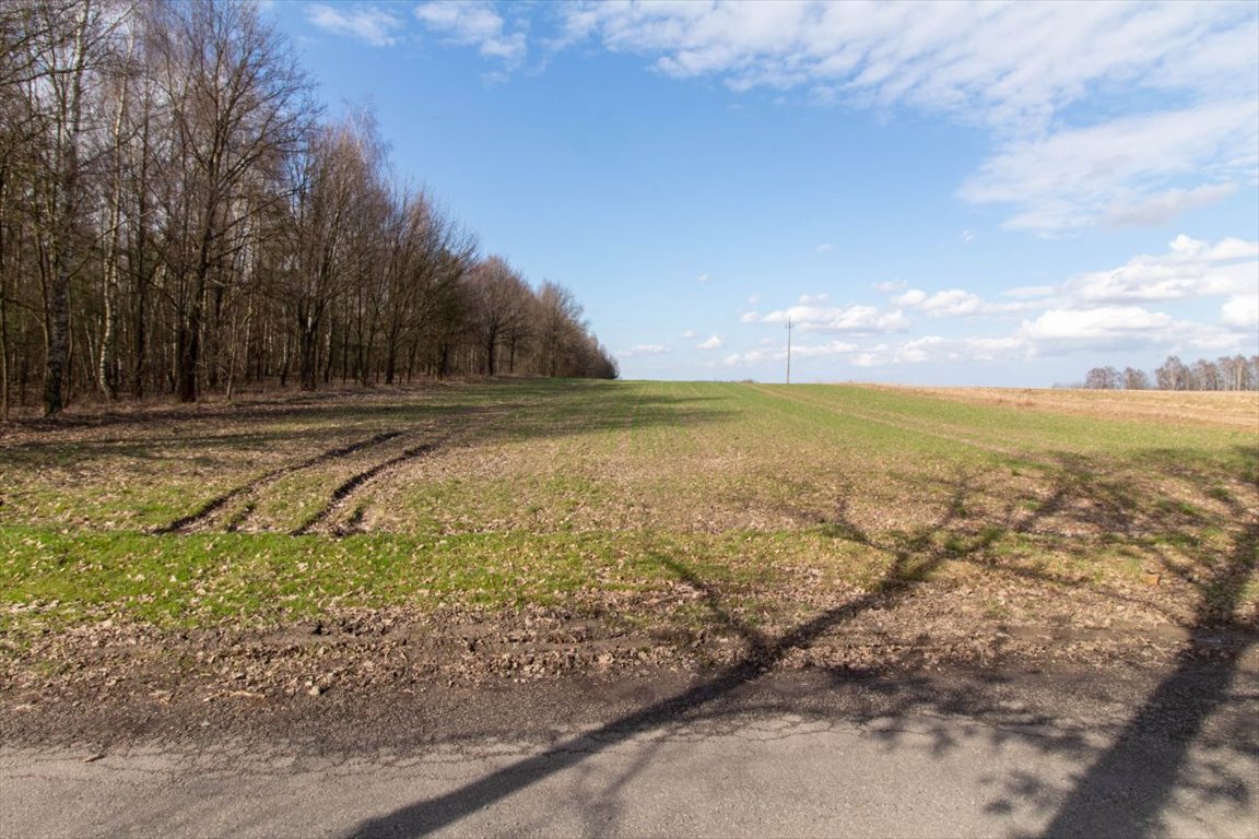 Działka rekreacyjna na sprzedaż Woźniki, Czarny Las, Czarny Las  14 911m2 Foto 11