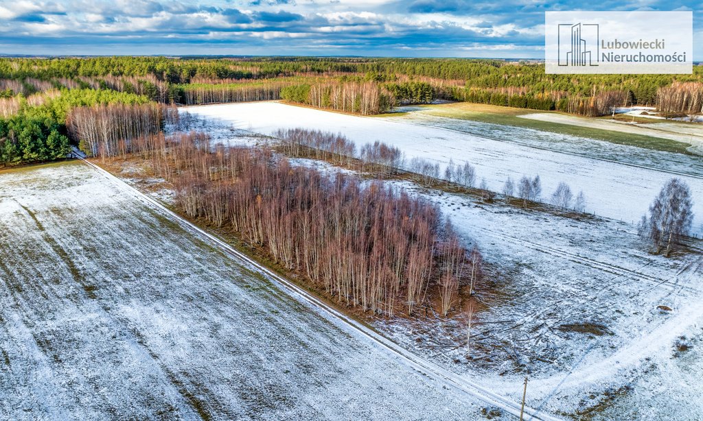 Działka rolna na sprzedaż Wilamowo  3 002m2 Foto 7