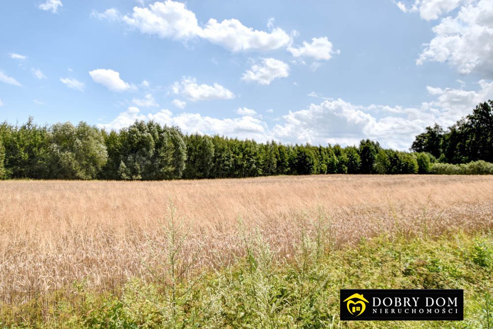 Działka rolna na sprzedaż Orzechowicze  6 200m2 Foto 1