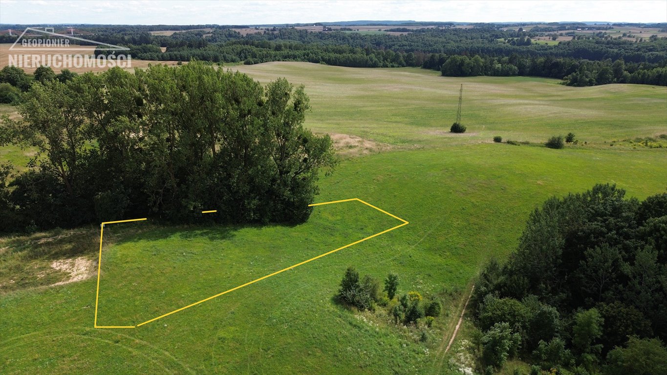 Działka budowlana na sprzedaż Szafranki, Szafranki  2 798m2 Foto 1