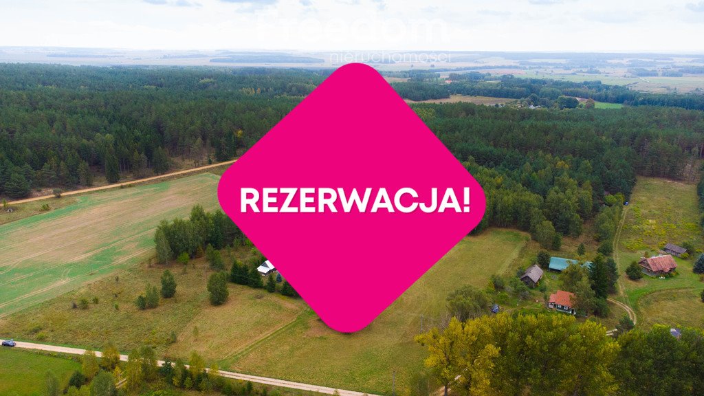 Działka siedliskowa na sprzedaż Łapicze  11 000m2 Foto 5