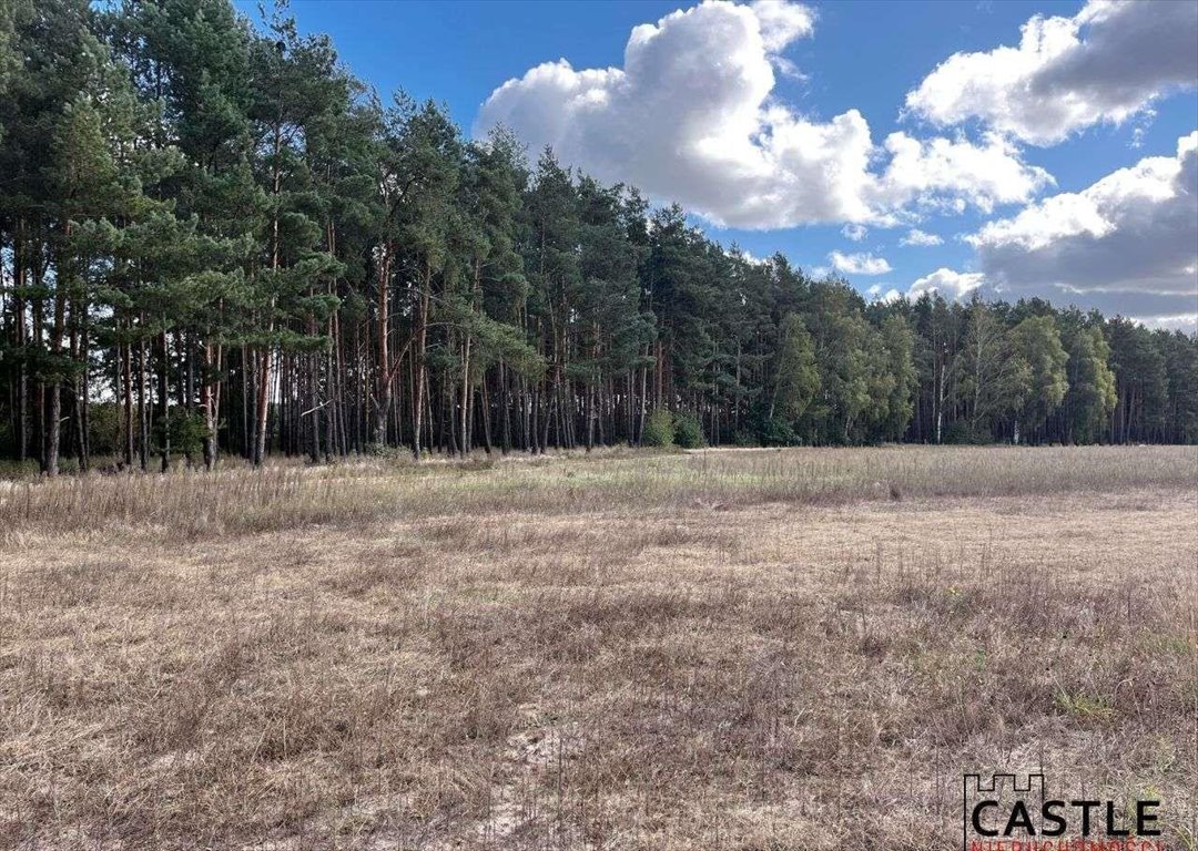 Działka budowlana na sprzedaż Trzciel  1 001m2 Foto 18