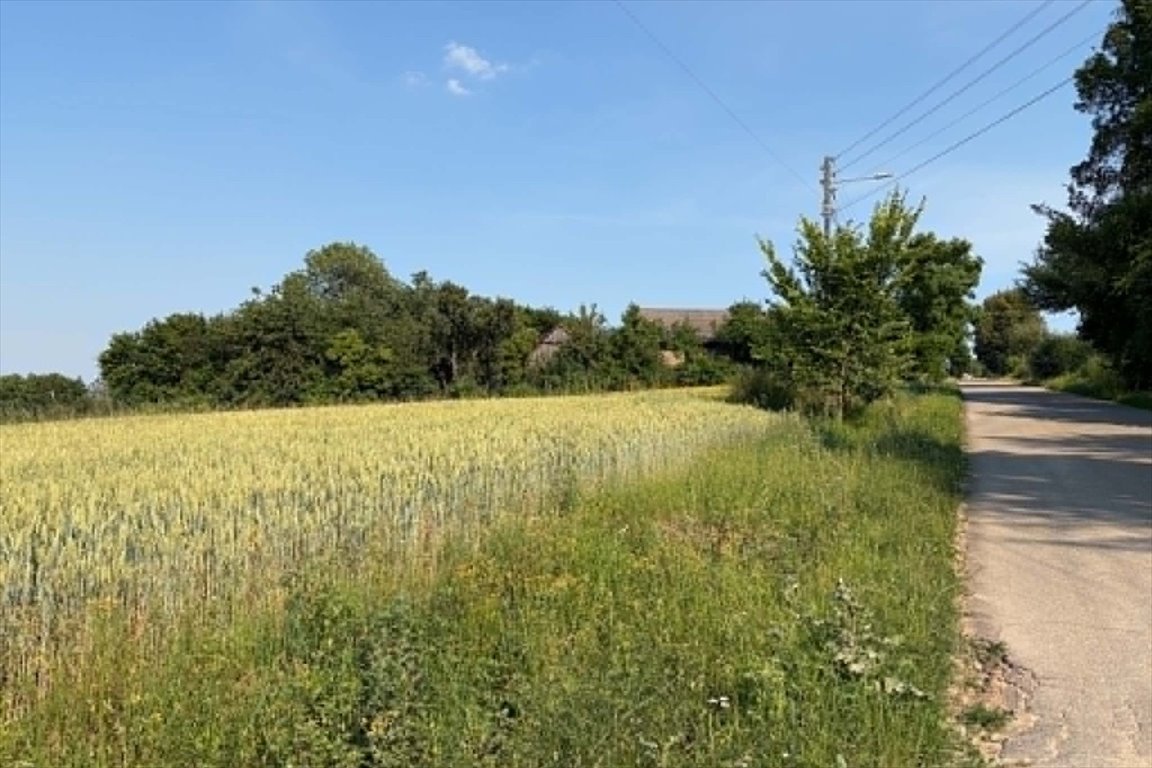 Do sprzedania działka 2250 m² z warunkami zabudowy w spokojnej okolicy Dodów, 40  2 250m2 Foto 1